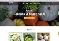 深圳在线商城网站